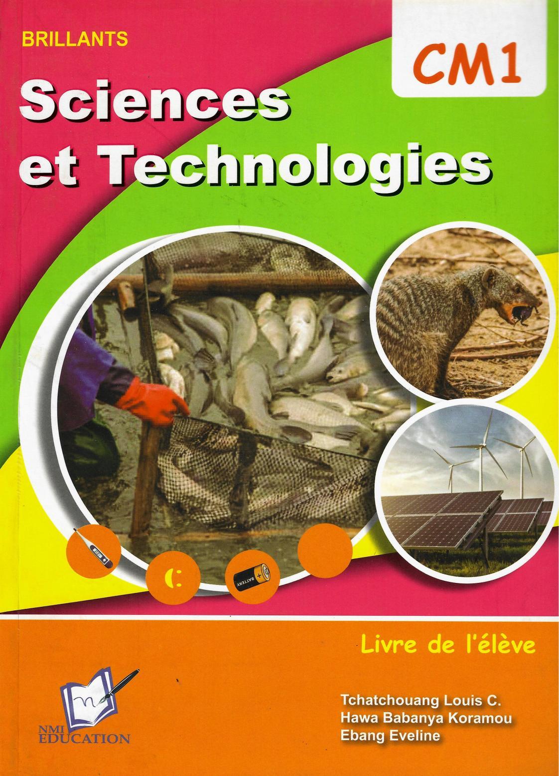 Sciences et technologies CM1